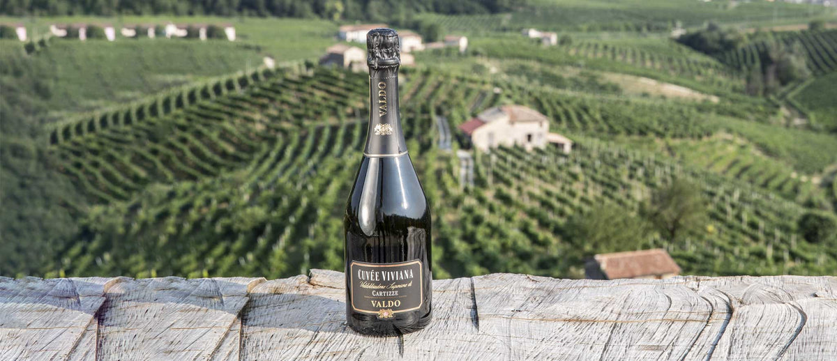 Cartizze. The excellence of Prosecco Superiore | Valdo